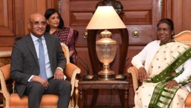 Vice President of the Guyana calls on the President