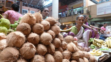 coconut-shortage-in-state-causes-price-hike-and-daily-life
